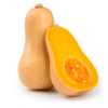 Courge butternut : Cucurbita moshata